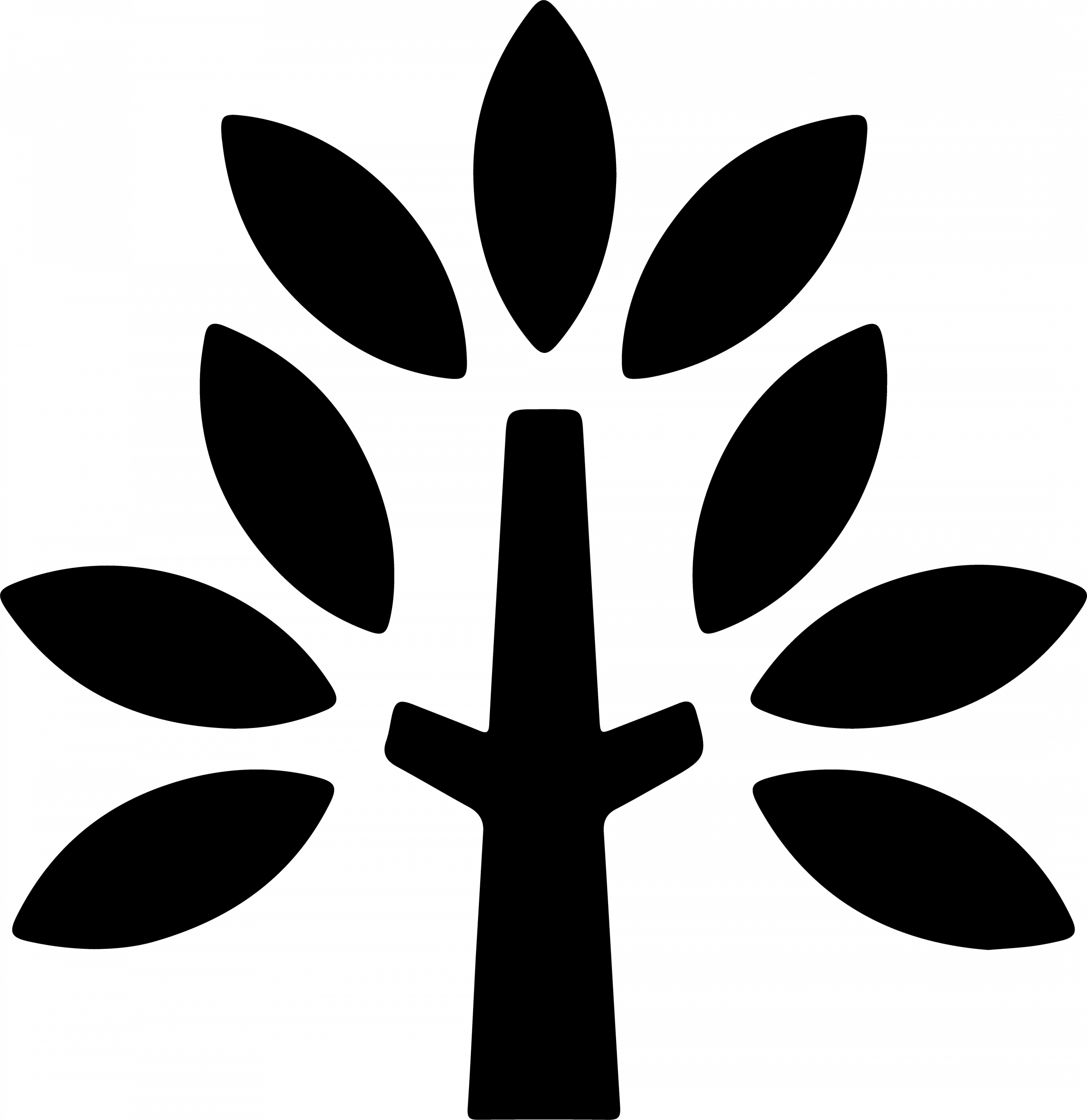 DSJ-BS